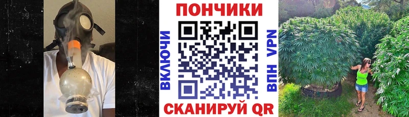 Бошки Шишки MAZAR Северодвинск